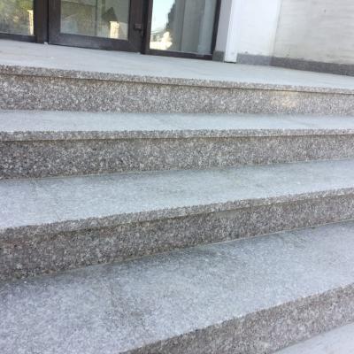 Img 4975